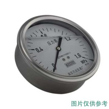 万达 耐震压力表，YJTFN 全不锈钢,轴向不带边Φ100,1.6级,0~1.0MPa,M20*1.5,充硅油 售卖规格：1个