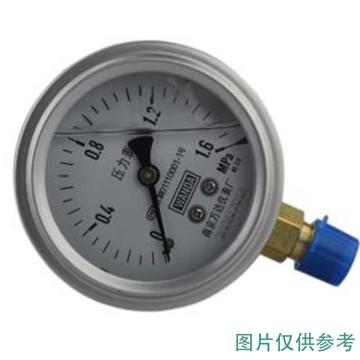 万达 耐震压力表，YJTN 碳钢+铜,径向不带边Φ150,1.6级,0~60MPa,NPT1/2,充甘油 售卖规格：1个