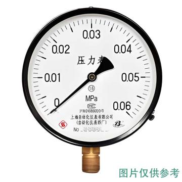 上自仪 普通压力表，Y-1000-0.1MPa/M20×1.5/1.6级/铁+铜 径向不带边 售卖规格：1个