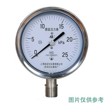 上自仪 不锈钢膜盒压力表，YE-100BF0-40kPa/M20×1.5/2.5级/304 径向不带边 售卖规格：1个