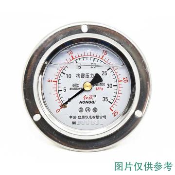 红旗 耐震压力表，YTN-60ZT 碳钢＋铜,轴向带边,M14×1.5,-0.1~0.3MPa 售卖规格：1台