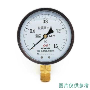 红旗 耐震压力表，YTN-100 碳钢＋铜,径向不带边,M20×1.5,0~2.5MPa 售卖规格：1台