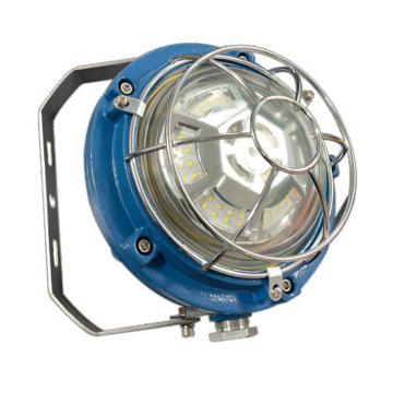 正安 矿用隔爆型LED支架灯，DCC35/127L(G) 发光颜色：白光，35W，灯体：蓝色 售卖规格：1套