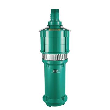 新界 Q(D)型干式潜水电泵，Q3-34/2-0.75-A 软管及螺纹连接 售卖规格：1台