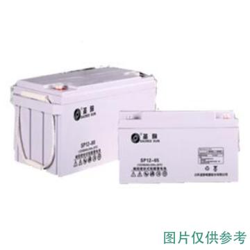 圣阳 阀控式密封铅酸蓄电池，SP12-24AH 12V/24AH(如需配线提前沟通) 售卖规格：1块