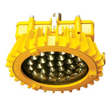 海洋王/OK 吸頂防爆燈，BFE8126應(yīng)急型 售賣規(guī)格：1套