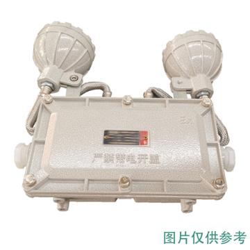 雷发照明 LED防爆双头应急灯，LFB-205-08X 2*5W，6000K，白光，180°配光，应急时间90min 售卖规格：1个