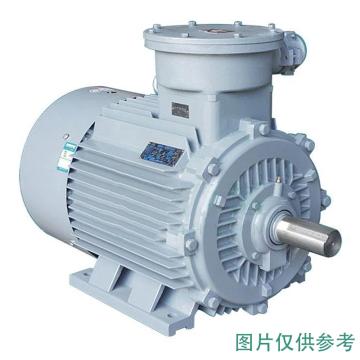 皖南电机 YBX3系列隔爆电机，YBX3-200L2-6，22kW，B3 售卖规格：1台