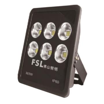佛山照明/FSL LED泛光灯，220V 300W 白光， 定制款 售卖规格：1个