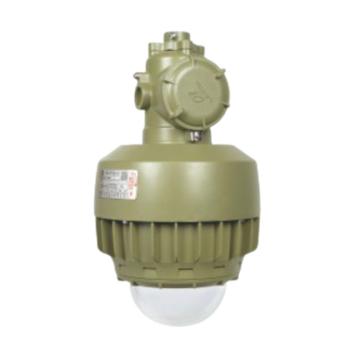 華榮/WAROM 防爆吸頂燈，HRD91-50gHEXD 售賣規(guī)格：1個(gè)