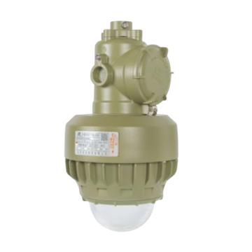 華榮/WAROM 防爆護(hù)欄式LED燈，HRD91-30hH，ExdIICT4 GB IP65 售賣規(guī)格：1套