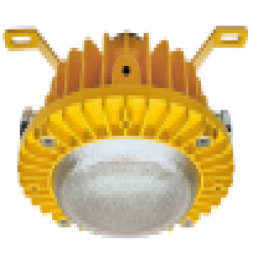 奇辰 防爆LED照明灯，QC-FB001-D-25W