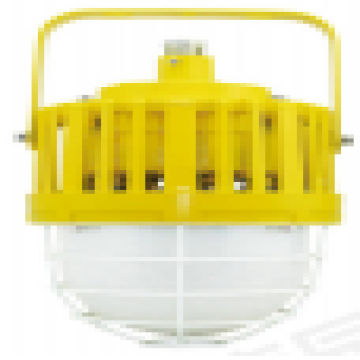 奇辰 防爆LED照明灯，QC-FB018-A-100W