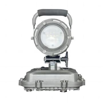 大猩猩 手提防爆工作燈，SLYDZM325 30W，DC14.4V，9600mAh，255×167×343mm，IP65 售賣規(guī)格：1個