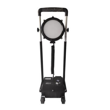鼎辉照明 防爆强光移动工作灯，BFDH6650≤30W DC14.8V，5700K，Ex d e IIC T6 Gc，黑色，IP66 售卖规格：1个