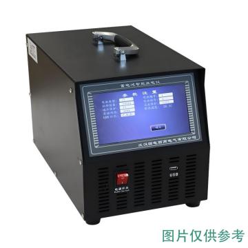 国电西高 开关柜蓄电池单体活化仪，DLKH-10