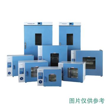 一恒 鼓风干燥箱，DHG-9070A套装 （含多段可编程液晶温度控制器+限温控制器+U盘数据储存） 售卖规格：1台