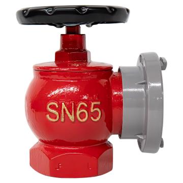 援邦 消火栓头，普通栓，SN65 售卖规格：1个