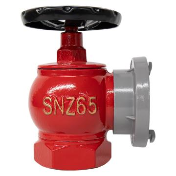 援邦 消火栓头，旋转栓，SNZ65 售卖规格：1个