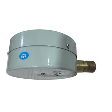 红旗 压力表，Y-100 螺纹M20*1.5,0-1.6MPa 售卖规格：1个