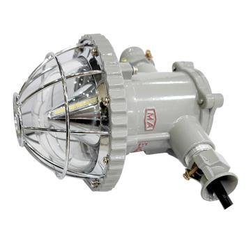 正辉 LED巷道灯，DGS18/127L（A） 18W，127V，矿用隔爆型 售卖规格：1个
