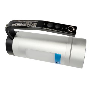 正輝 防爆手提燈，BJW8311 1×12W DC22.2V，銀色 售賣規(guī)格：1個