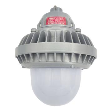 正輝 LED防爆平臺燈，NLC9210 60W IP65，白光6000K，AC220V，黃色 售賣規(guī)格：1個