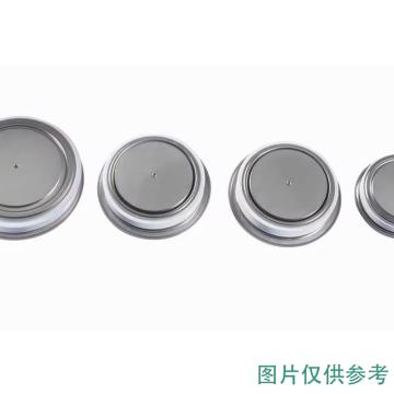 ZZZC 二极管管芯，ZPX3900-30(LZGZ) 售卖规格：1个