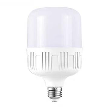 龍代 LED節(jié)能球泡，10W-節(jié)能 Φ60×115mm，白光，E27 售賣規(guī)格：1個
