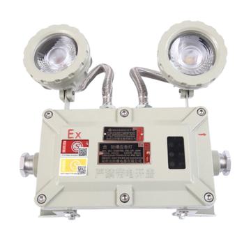 冠奕達(dá) LED防爆應(yīng)急燈，GYD-BCJ-L，2x3W 灰色 白光,IP65,應(yīng)急時(shí)間≥90min 售賣規(guī)格：1個(gè)