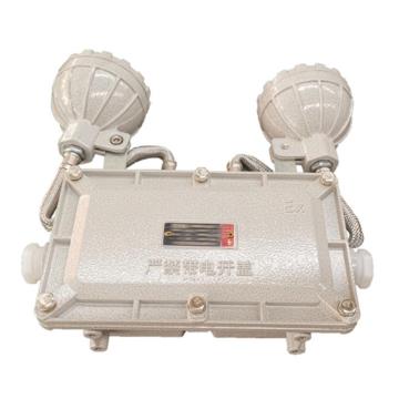 雷發(fā)照明 LED防爆雙頭應(yīng)急燈，LFB-205-08X 2*5W，6000K，白光，180°配光，應(yīng)急時(shí)間90min 售賣規(guī)格：1個(gè)