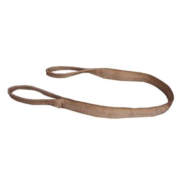 Raxwell 扁平吊環(huán)吊裝帶，RLSW0053 6T×5m 售賣規(guī)格：1條