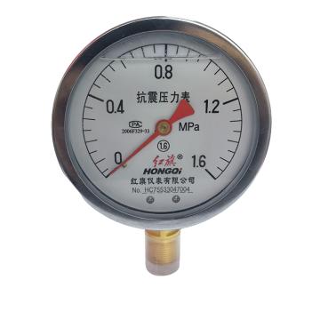 红旗 耐震压力表，YTN-100,0~1.6MPa 碳钢＋铜,径向不带边,M20×1.5 售卖规格：1台