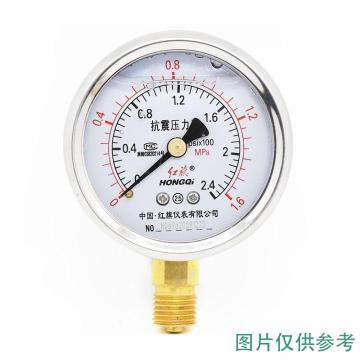 红旗 耐震压力表，YTN-60 0-6MPA,G1/4,径向 售卖规格：1块