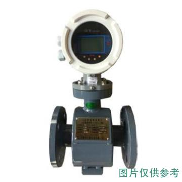 天津大港 分體電磁流量計，LDG-20A1B2P4E2G1H2F4K1-ZG DN20,0.5級LCD顯示,4-20mA220V,F46襯里,316L電極,2.5MPa 售賣規(guī)格：1個