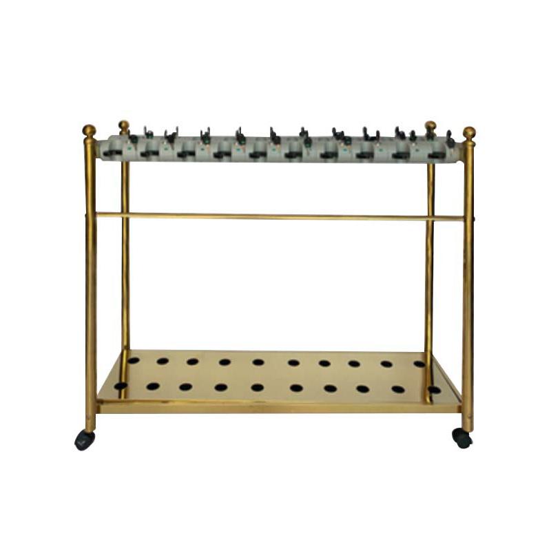 功成狮 雨伞架钛金商用收纳架，GUFD1165 大锁头20头加高款 110×35×100cm 锁孔宽3.5cm 售卖规格：1台