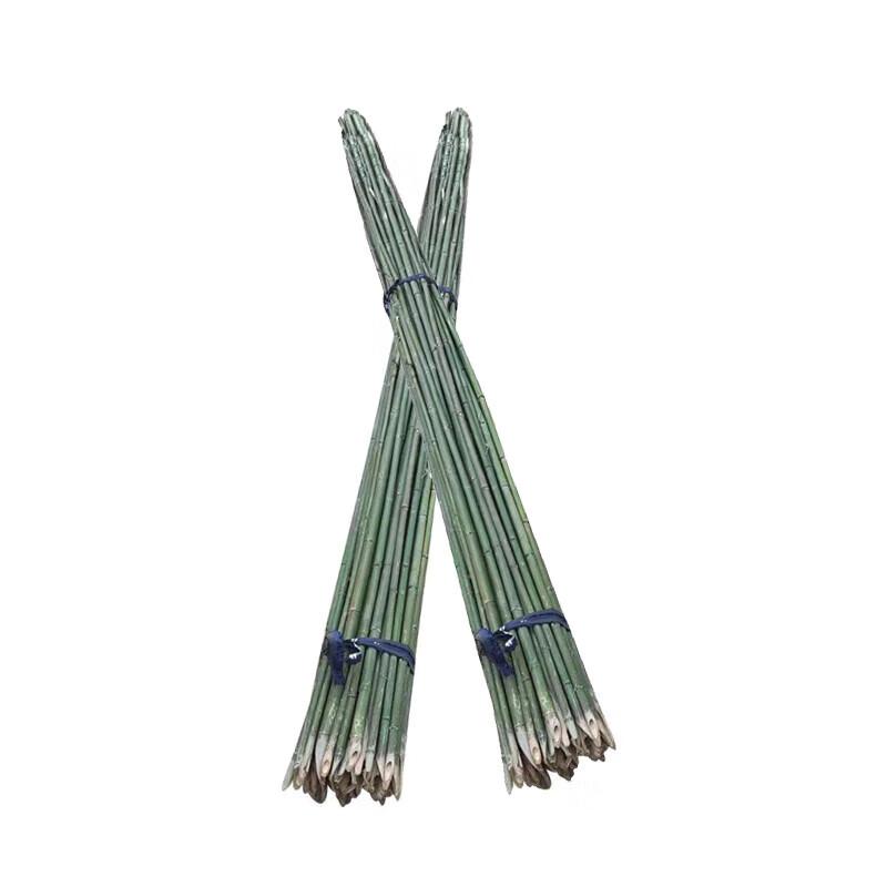 美棠 竹竿 爬藤竹杆架 篱笆栅栏彩旗杆细竹子菜园搭架，3cm直径 长度1.5米（40根） 竹竿 售卖规格：40根/根