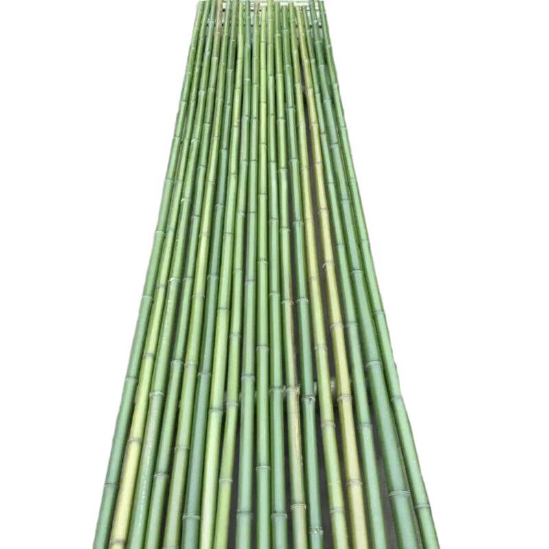 美棠 竹竿 爬藤竹杆架 篱笆栅栏彩旗杆细竹子菜园搭架，3cm直径 长度1米（40根） 竹竿 售卖规格：40根/根
