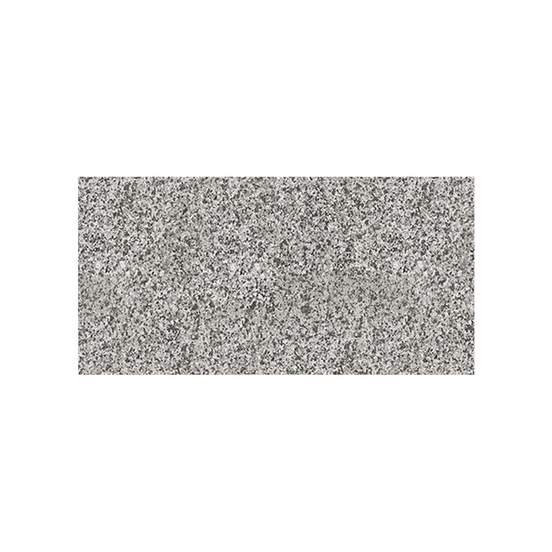 融拓 户外庭院广场花岗岩石材，RTSC2560-240 200×400×50mm/芝麻黑 售卖规格：1块