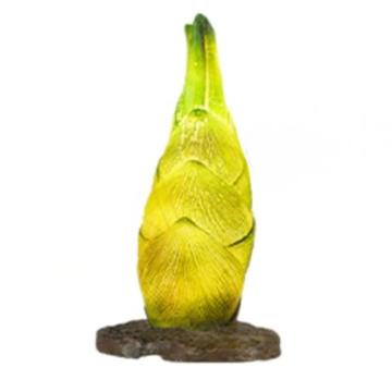 功成獅 發(fā)光熊貓竹筍景觀燈 HFFGXMJGD-02 小號 140×175×300mm 接電款 個，GOHF0911 售賣規(guī)格：1個