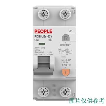 人民电器 剩余电流动作断路器，101001121010007 RDB5LEs-63Y C16 2P 30mA 售卖规格：1个