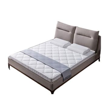 伊伊爱 棕榈床垫 白色，CD0ZL02100252 150×200×5cm 售卖规格：1个
