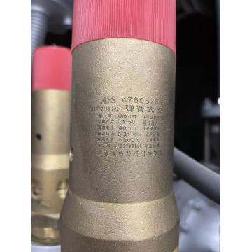 埃弗斯 安全阀-减震式47605796001，A28X-16T DN50 1.1MPa 售卖规格：1个