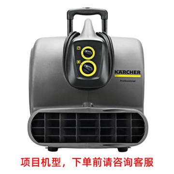 卡赫/Karcher 商用鼓风机吹干机，AB45 （项目机型需提前报备） 售卖规格：1台