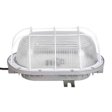 雷發(fā)照明 LED防爆燈，LFB-100-12 6500K 售賣規(guī)格：1個(gè)