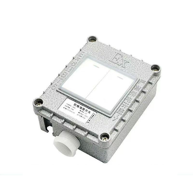 SHNALS 防爆二開單控開關(guān)，F(xiàn)BKG-RD 220V/10A/123x99x53mm 售賣規(guī)格：1個