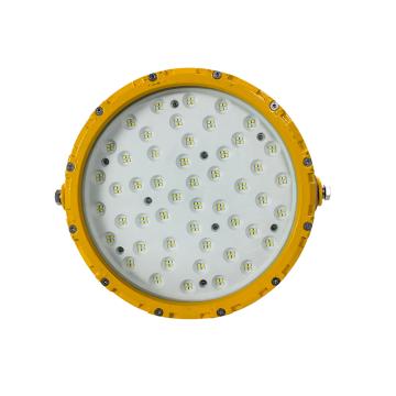 大地照明 LED防爆泛光灯 100W 黄色 单位：个，BFC8800A 售卖规格：1个