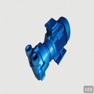 博山 真空泵，2BV2070 售卖规格：1台