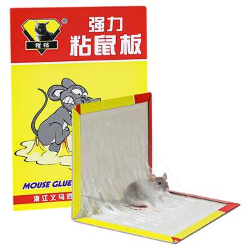 猎猫 强力粘鼠板，芷慧A01 5片装 5片/包 售卖规格：5片/包