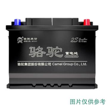 骆驼 蓄电池，6-QW-36(300)-L 售卖规格：1个